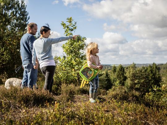Ferie midt i naturen | Landal GreenParks