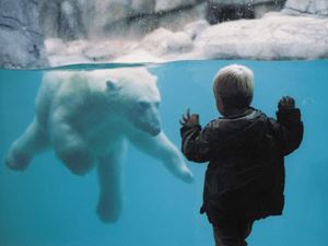 Aalborg Zoo | Ferie i Nordjylland |Landal GreenParks